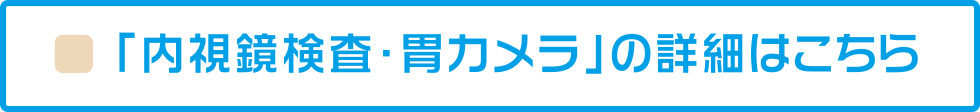 内視鏡検査・胃カメラの詳細はこちら