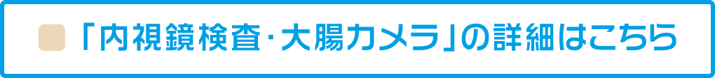 内視鏡検査・大腸カメラの詳細はこちら