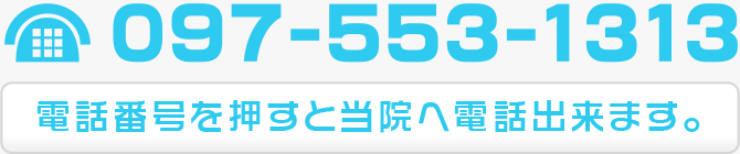 〒870-0165 大分市明野北1丁目7-1　TEL 097-553-1313